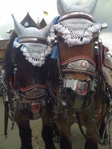 IMG_0382 IMG_0382
