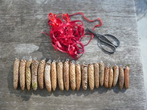 P1130059