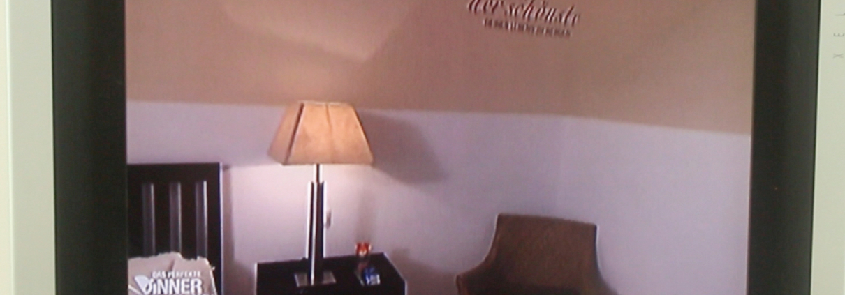 Silbensalon im Fernsehen