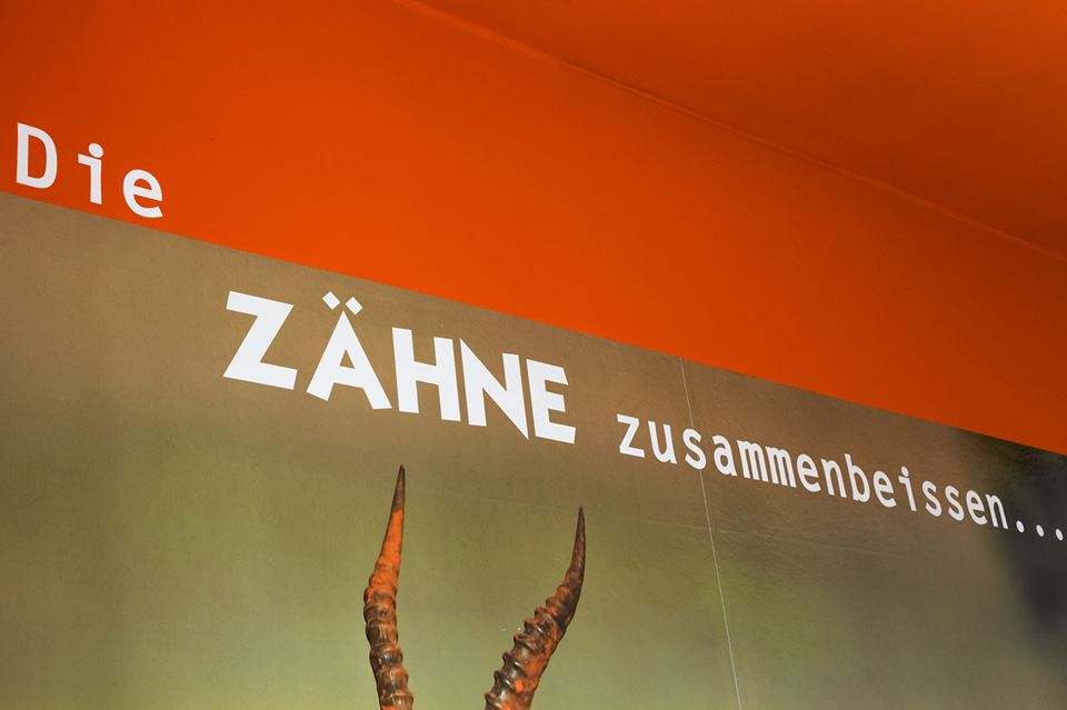 Zahnarztparxis_WandTattoo2