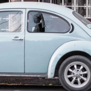 Vermeers Mädchen mit dem Perlohrring als Aufkleber für Ihr Auto.