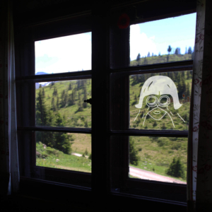 FernglasFenstersticker Fernglas neugierige Nachbarn Fensteraufkleber